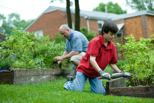 Comment élaborer un plan de rotation de culture pour un petit jardin potager urbain ?