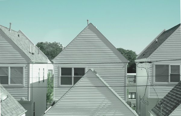 Quelles plantes grasse sont adaptées pour un jardin sur un toit brûlant en été ?