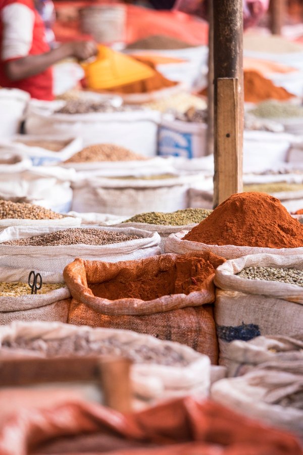 Top 5 conseils pour réussir au marché aux plantons de Genève